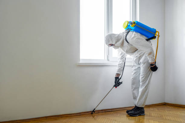 Emergency Pest Control Services in Rancho San Diego, CA